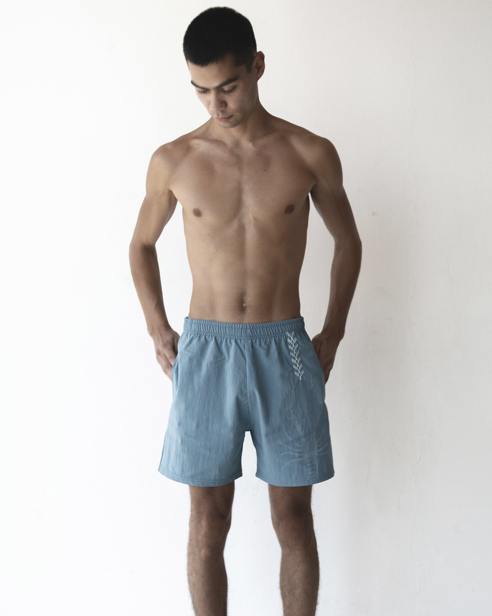 Earth Swim Shorts