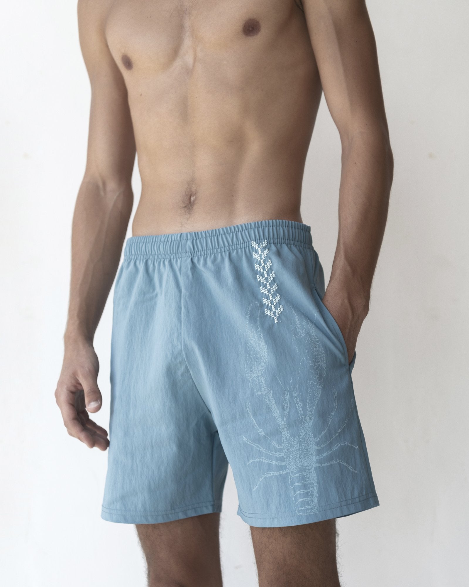 Earth Swim Shorts